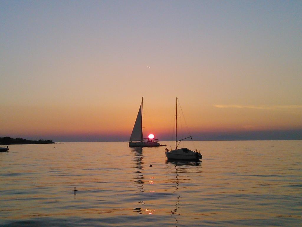 Apartments Jasmina Novalja Εξωτερικό φωτογραφία
