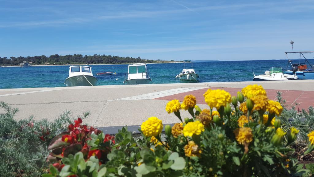 Apartments Jasmina Novalja Εξωτερικό φωτογραφία